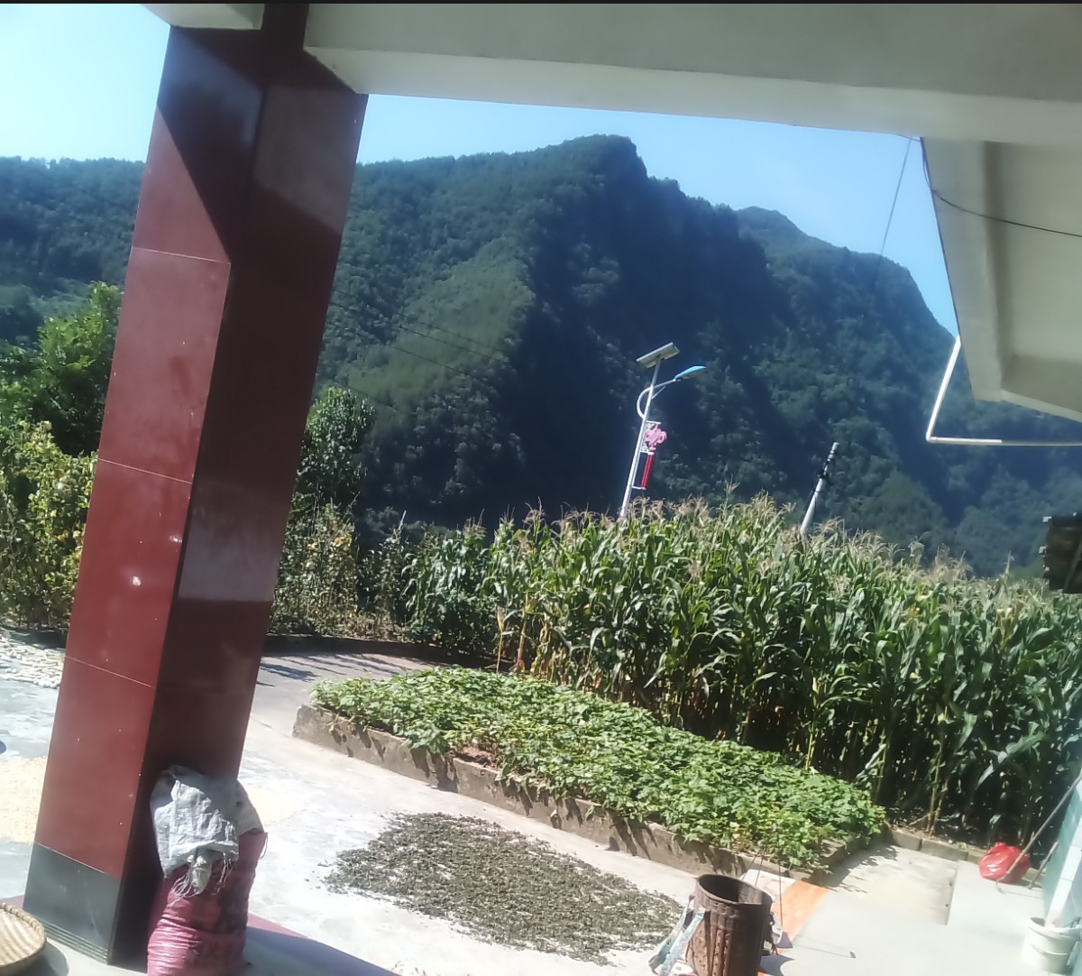山